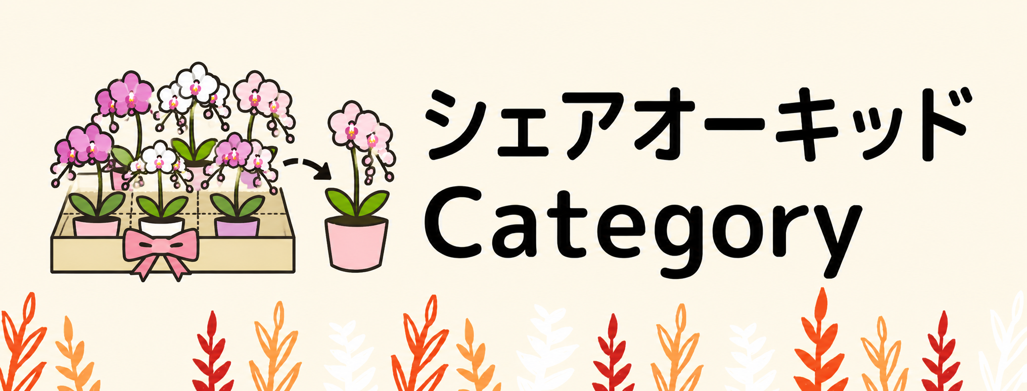 【シェアオーキッド】