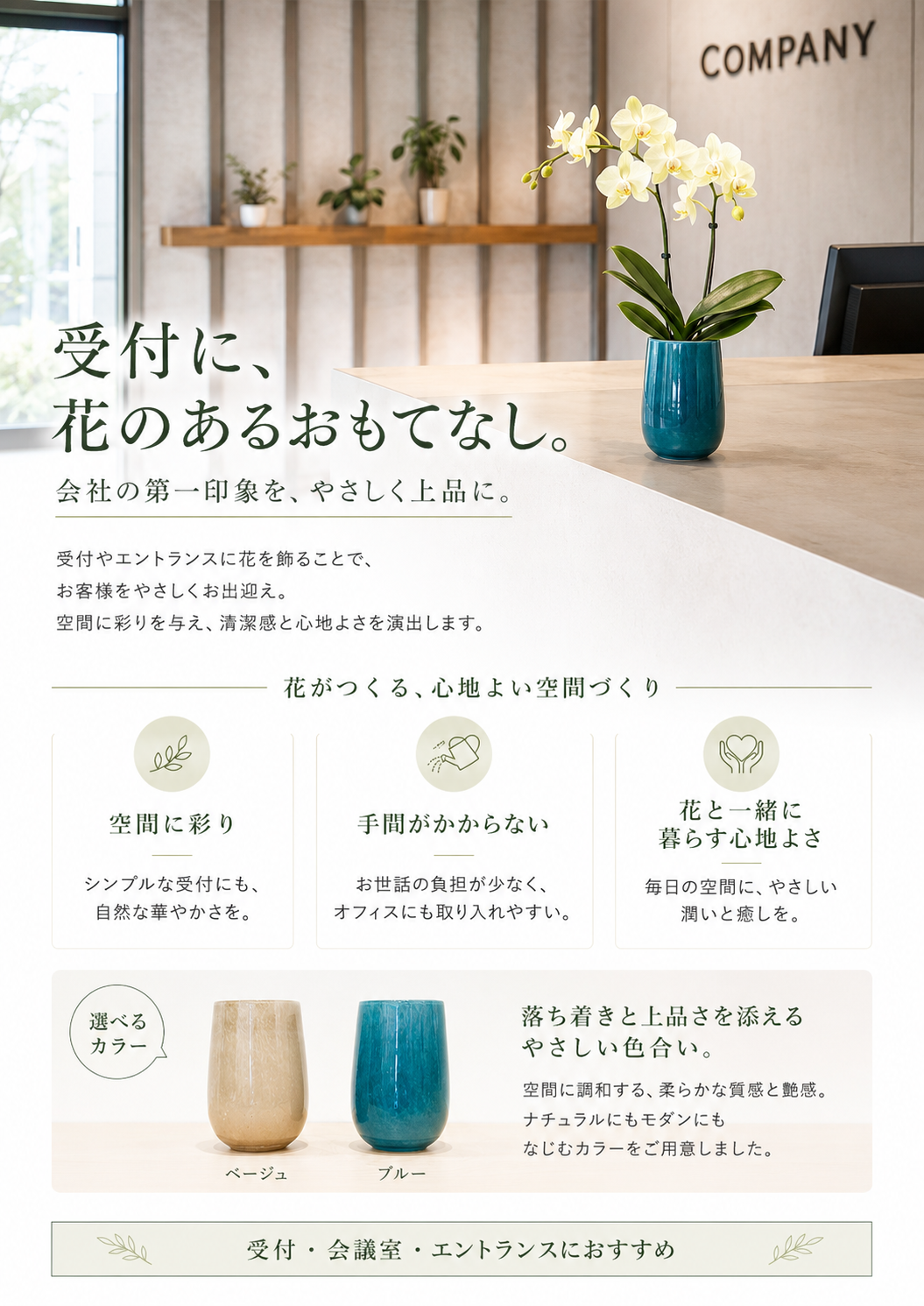 胡蝶蘭をフロントへ飾りませんか