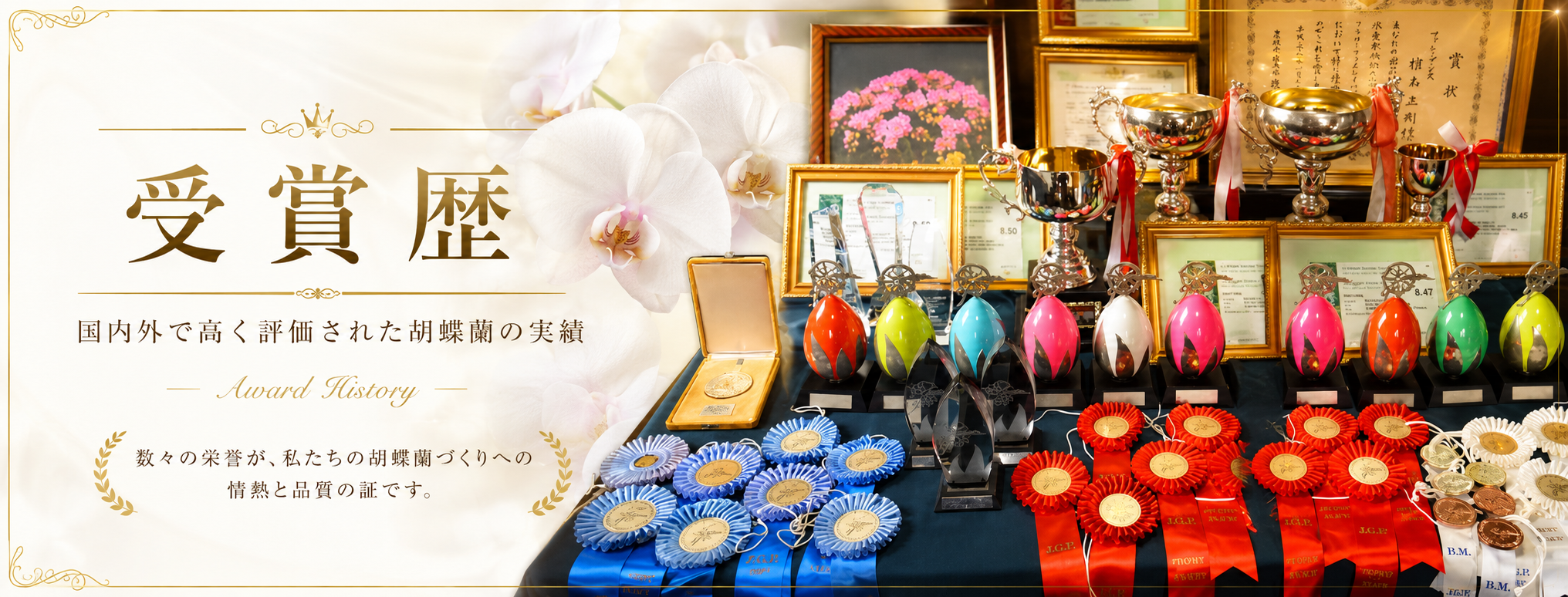 受賞履歴
