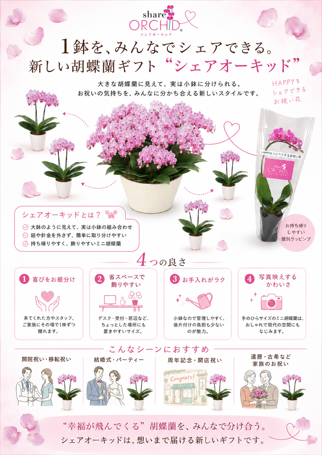 シェアオーキッドのご紹介