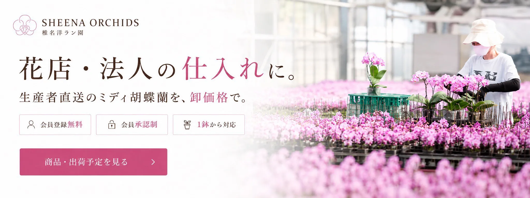 花店・法人の仕入れに
