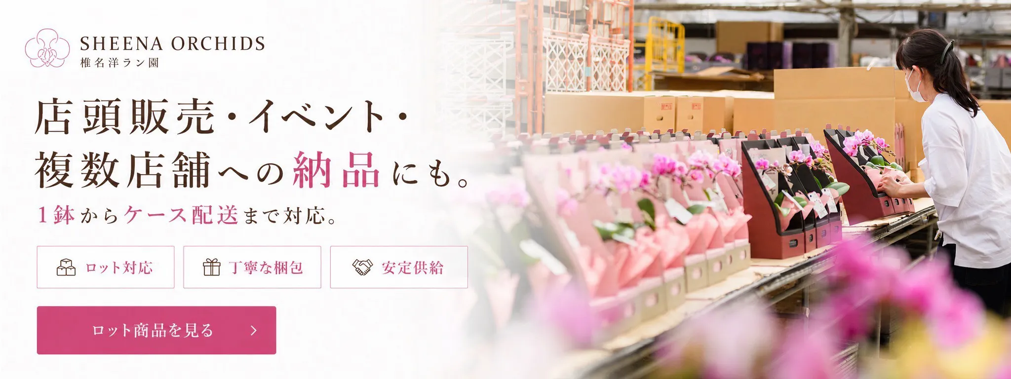 店頭販売・イベント・複数店舗への納品にも