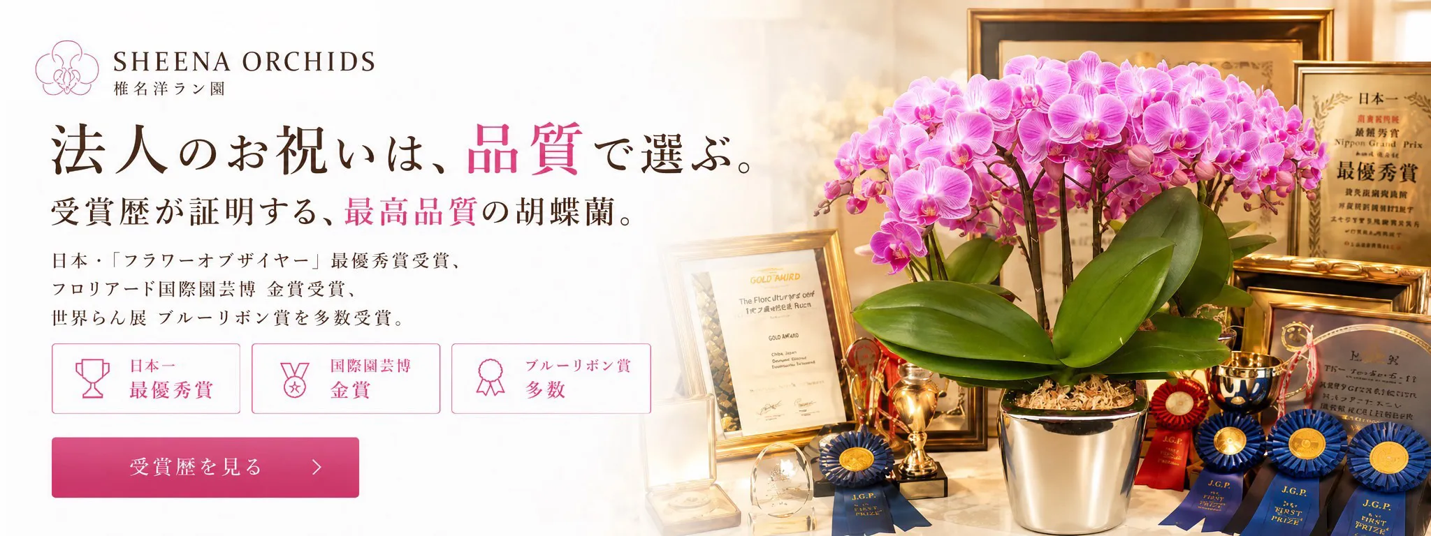 法人のお祝いは、品質で選ぶ