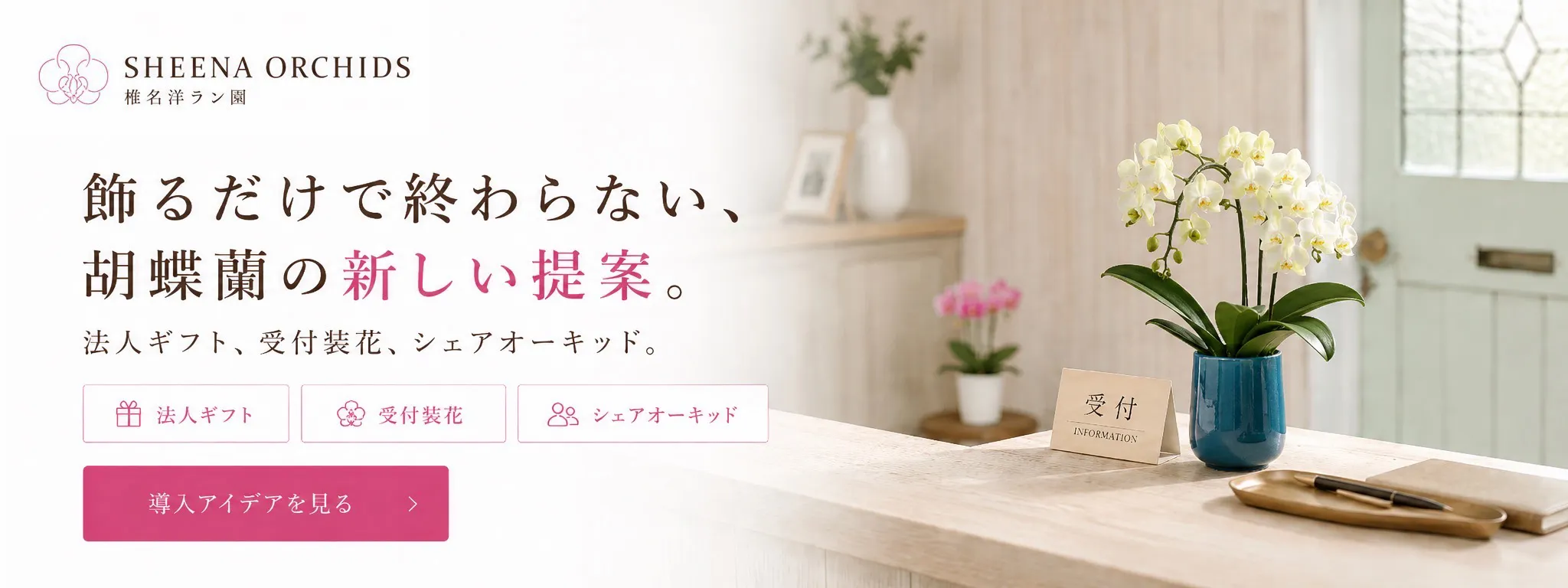 飾るだけで終わらない。胡蝶蘭の新しい提案