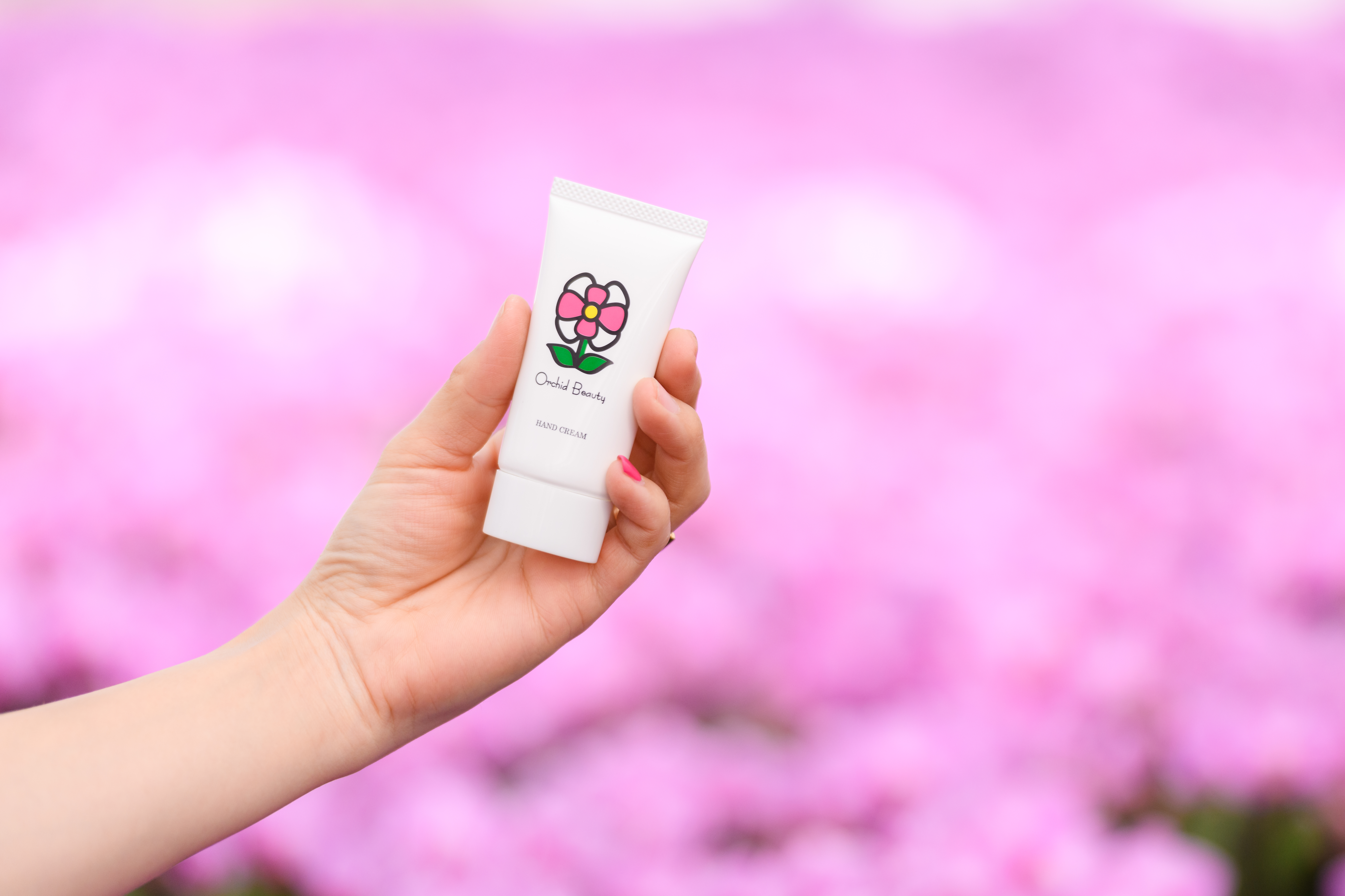 商品一覧 胡蝶蘭 卸 Ranran